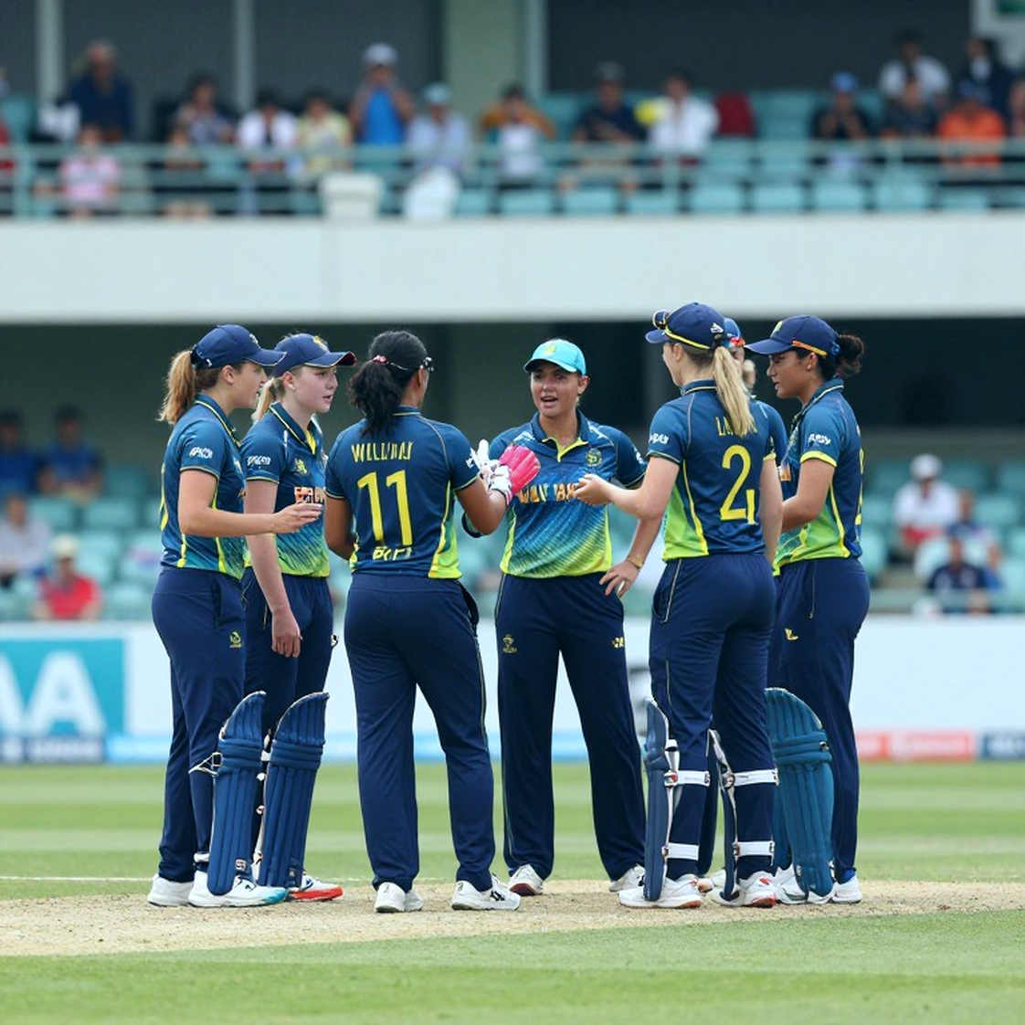 Cricket's New Ledger: Blockchain Made Fans Owners, but the Bill Is Still Open